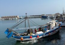 El PP de Adra pedirá al Gobierno una posición “firme” contra la propuesta de reducción de días de pesca de arrastre para 2026 Puerto Adra