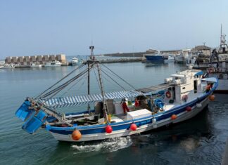 El PP de Adra pedirá al Gobierno una posición “firme” contra la propuesta de reducción de días de pesca de arrastre para 2026 Puerto Adra